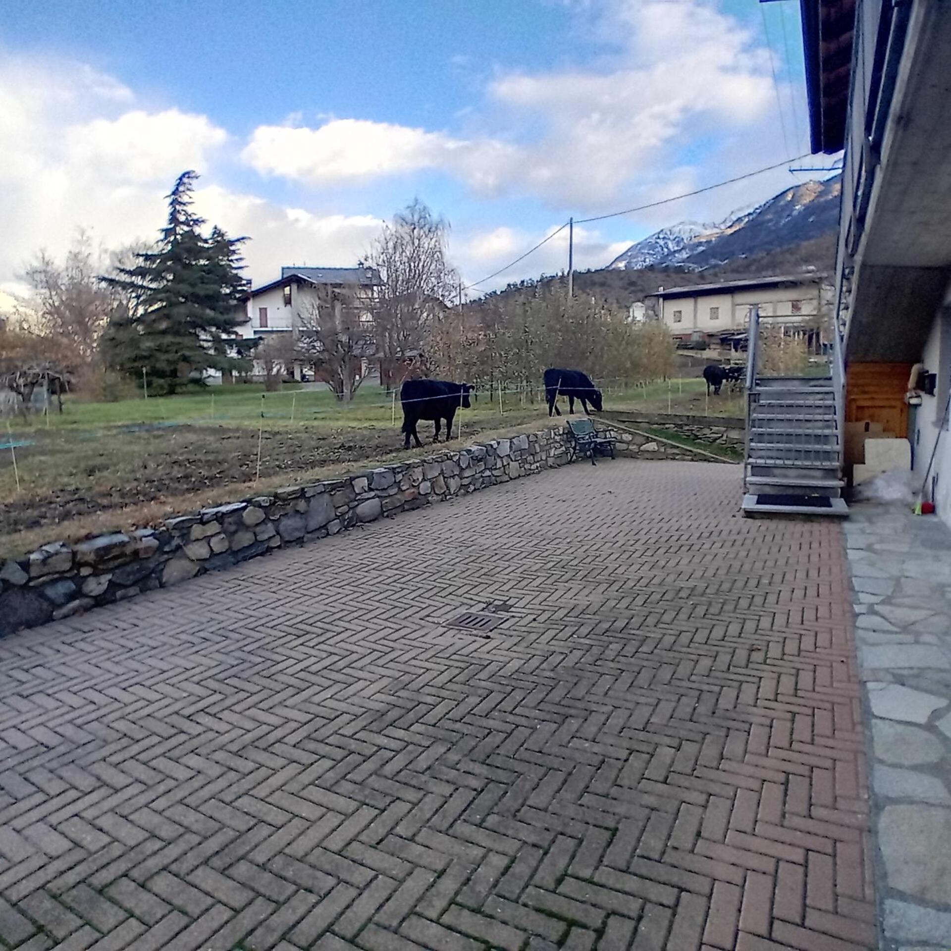 Maison Clair Vda Gressan N 0094 Aosta Cameră foto